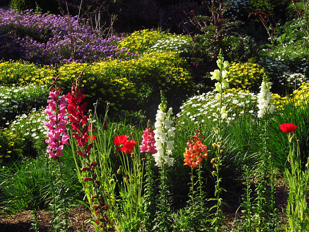Colorful Flowers in a Botanical Garden