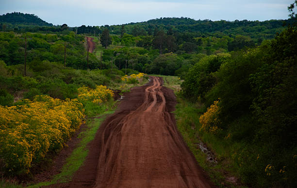 istock Rural road in Misiones, Argentina 2240854206