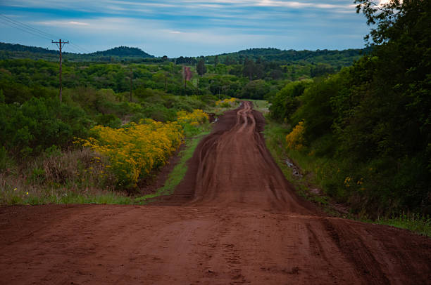 Rural road in Misiones, Argentina, panoramic view of the countryside with green vegetation, trees, and bushes.