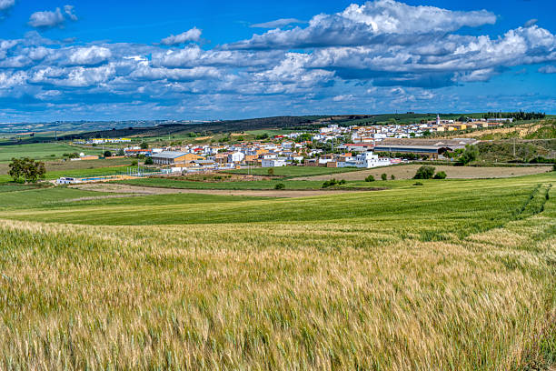 istock Panoramic spring view of Castilleja del Campo in Aljarafe, Spain 2240854652