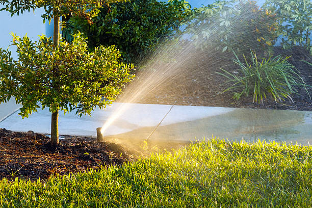 istock Lawn grass watering with automated sprinkler irrigation system 2240858067