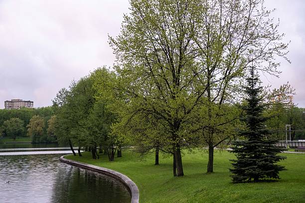 Minsk, Belarus - May 07, 2015 - Tranquil park with lush green trees and serene lake in urban setting.