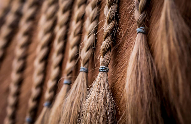 istock Braided horse hair pattern 2240861624