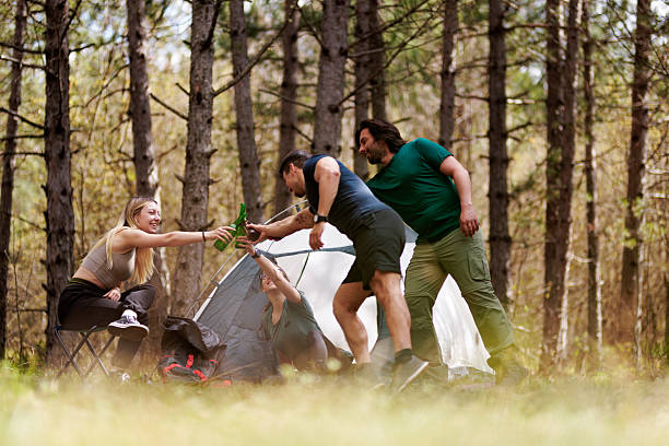 istock Friends enjoy drinks and laughter while camping in a serene forest during a sunny afternoon surrounded by tall trees 2240865258