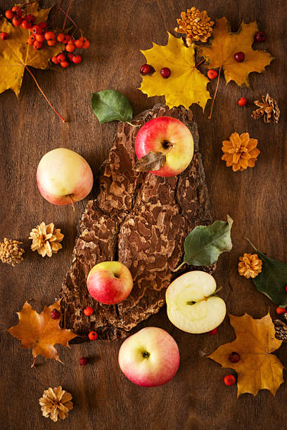 Concept of autumn time, harvest. Apple saved.