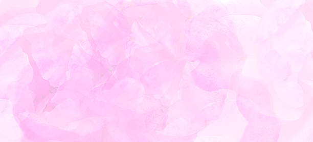 istock Dreamy soft pink background with  flowers merging in a pastel colored. Template banner. Wedding, Birthday, Valentines Day. Purple pink white gradient toned 2240871213