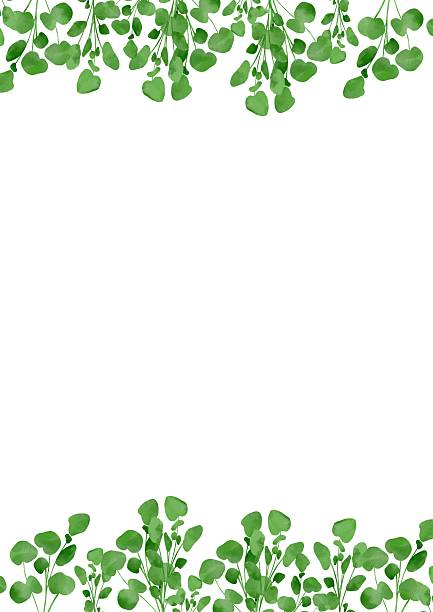 istock Watercolor illustration of watercress 2240879008