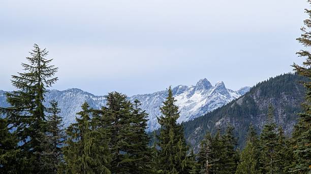 istock Layered Mountain Landscape with Mist Rising Through Forested Slopes and Snow-Capped Peaks 2240881400
