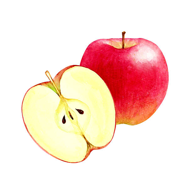 istock Watercolor illustration of an apple cross section 2240893981