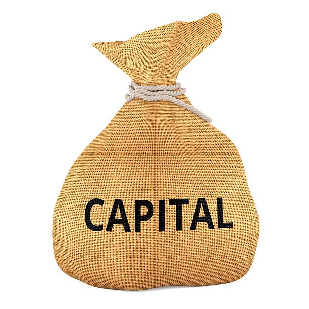 istock Money bag with Capital. 3D rendering 2240904976