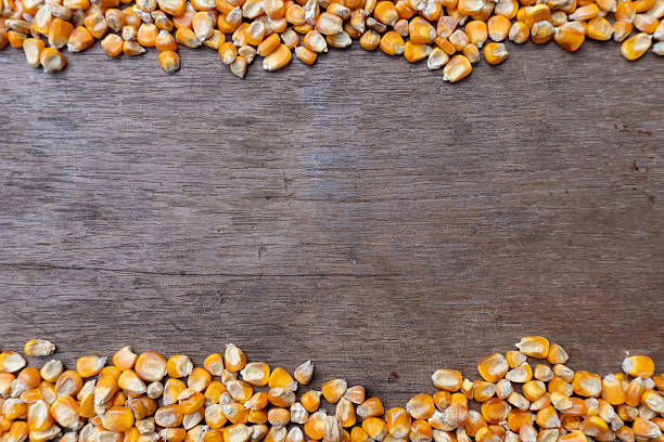 Top view of golden maize grains forming border frame on old wooden surface. Perfect for text overlay, organic food template, and agricultural design background.