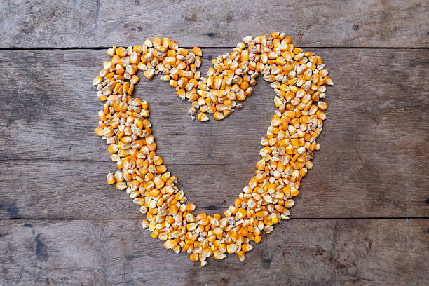 Creative heart symbol made of yellow corn seeds on old wood background. Perfect for agriculture love, organic food, healthy lifestyle, and nature concept.