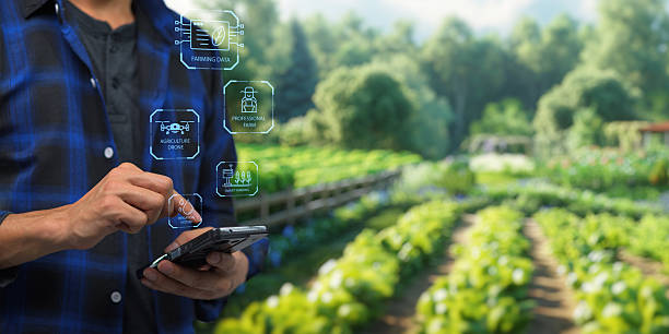 istock Smart Farm UI hologram system control, maintenance, displaying growth information Nutrients, fertilizers, water, insect pests of trees, plants, and vegetables, use technology in agriculture. 2240910132