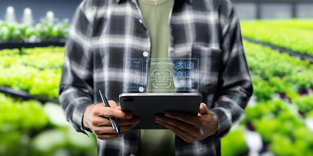 istock Smart Farm UI hologram system control, maintenance, displaying growth information Nutrients, fertilizers, water, insect pests of trees, plants, and vegetables, use technology in agriculture. 2240912231