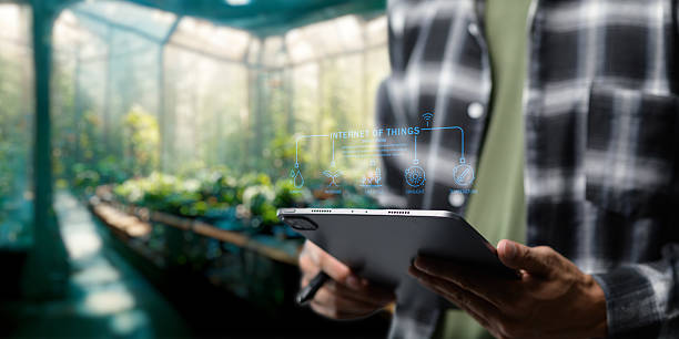 istock Smart Farm UI hologram system control, maintenance, displaying growth information Nutrients, fertilizers, water, insect pests of trees, plants, and vegetables, use technology in agriculture. 2240912261