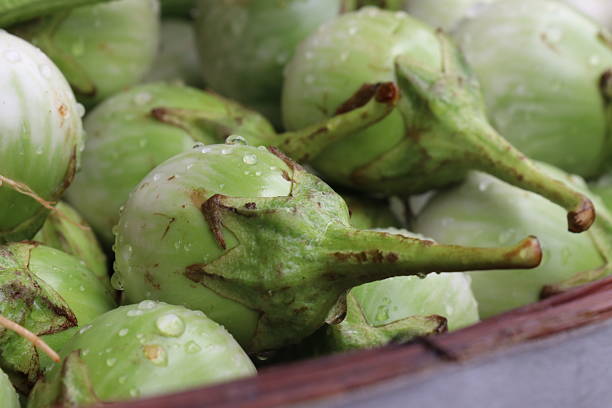 Eggplants as seen in a street market of Varanasi, India.