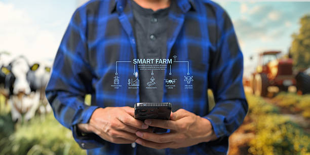 istock Smart Farm UI hologram system control, maintenance, displaying growth information Nutrients, fertilizers, water, insect pests of trees, plants, and vegetables, use technology in agriculture. 2240912429