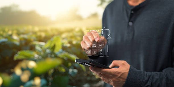 istock Smart Farm UI hologram system control, maintenance, displaying growth information Nutrients, fertilizers, water, insect pests of trees, plants, and vegetables, use technology in agriculture. 2240912467
