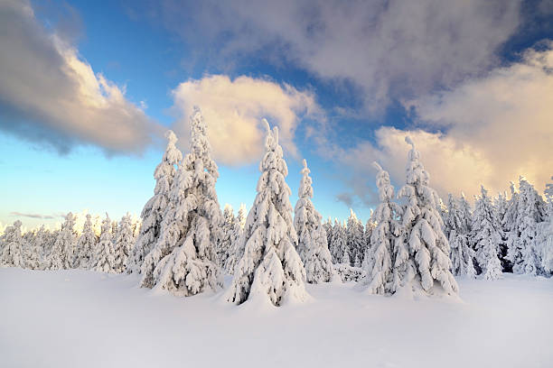 istock winter landscape in the mountains with snow covered trees and blue sky 2240915601