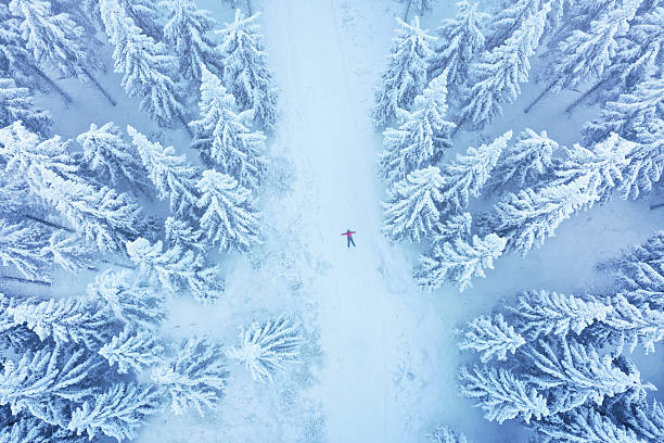 istock Frozen Wilderness: Aerial View of a Snowy Winter Forest 2240915653