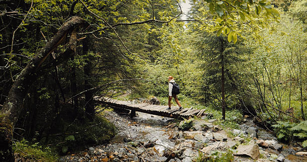 istock Girl wal king on a rocky hiking path along a river with bridge in dence forest. 2240917080