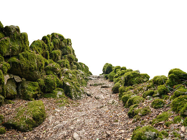 Stone paved old footpath in ancient mountains with green moss covered big stones isolated on white