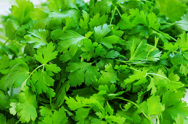 istock Bunch of fresh parsley background 2240923919