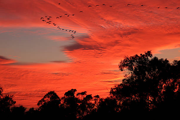 Spectacular sunset with Altocumulus clouds in southern Spain
