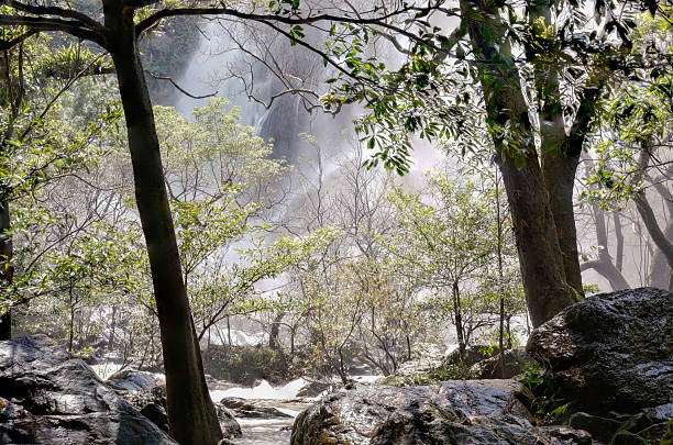 A stream of water flows through a forest near Khlong Lan Waterfall, Thailand.