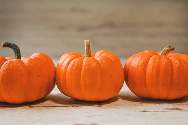istock colorful ripe pumpkins 2240929172