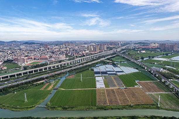 Aerial view of the railway passing through the fields on the green plain