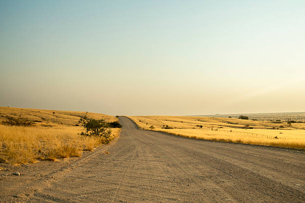 This image captures the essence of a Namibian safari — where desert landscapes meet incredible wildlife. Featuring iconic species such as cheetahs, giraffes, and oryx antelope, it showcases the unique biodiversity and raw beauty of Namibia’s arid ecosystems. Perfect for use in travel marketing, wildlife conservation content, safari promotions, or educational materials about Southern Africa’s natural heritage.