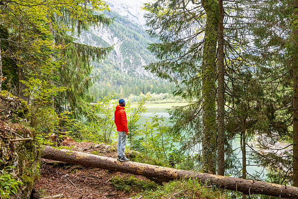 istock Man Standing on Log Overlooking Mountain Lake 2240930368