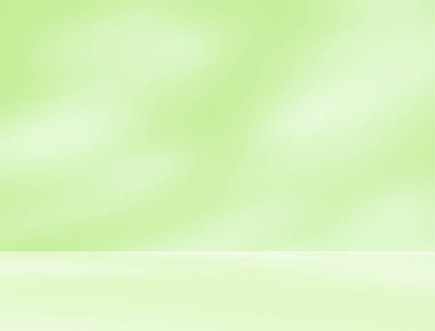 istock Empty green room studio with sunlight effect shadow of leaves. Minimal background for product presentation. 2240932756