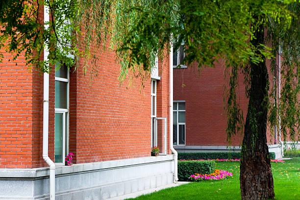 Modern red brick houses with shady trees in front