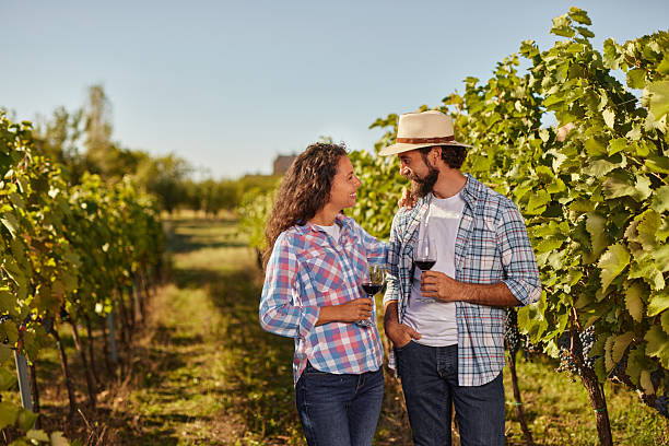 istock Happy couple enjoying red wine tasting in vineyard 2240934717