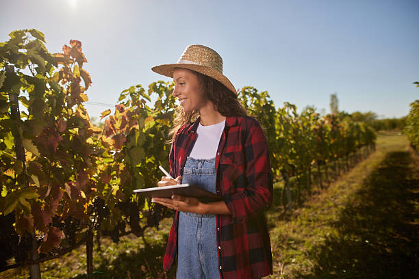 istock Woman farmer using tablet in vineyard for wine production 2240935691