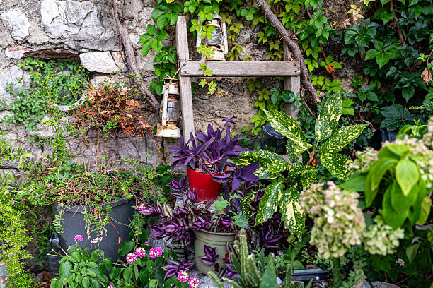 Rustic vertical garden: lantern and potted plants on a repurposed ladder shelf against an antique stone wall. Ideal for DIY patio decor.