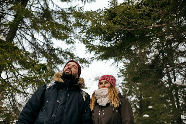 From below of young woman and man in outwear standing in coniferous winter woods looking away dreamily
