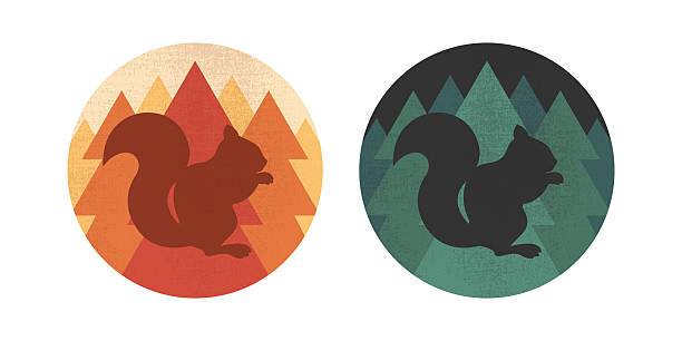 Round emblems with a squirrel silhouette on forest background. Forest animal. Vector illustration
