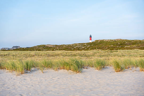 wind off the Baltic Sea