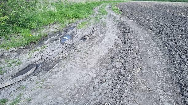 Muddy Country Road after Rain
