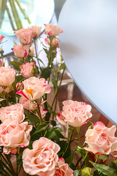 istock Light pink Spray Roses with picotee edges on a table. Elegant, romantic indoor decor with ample copy space. 2240941542