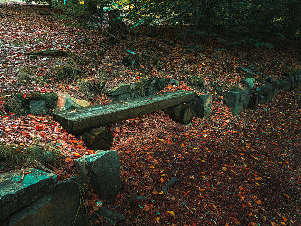 Peaceful autumn scene with a rustic wooden bench surrounded by fallen red leaves in a quiet forest. The mood reflects calm, solitude, and natural beauty.