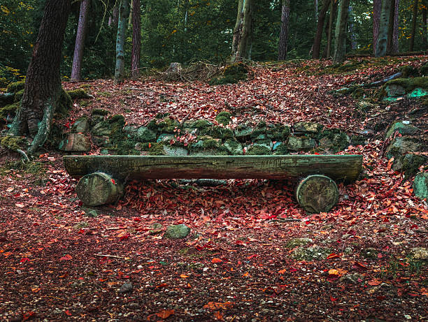 Peaceful autumn scene with a rustic wooden bench surrounded by fallen red leaves in a quiet forest. The mood reflects calm, solitude, and natural beauty.