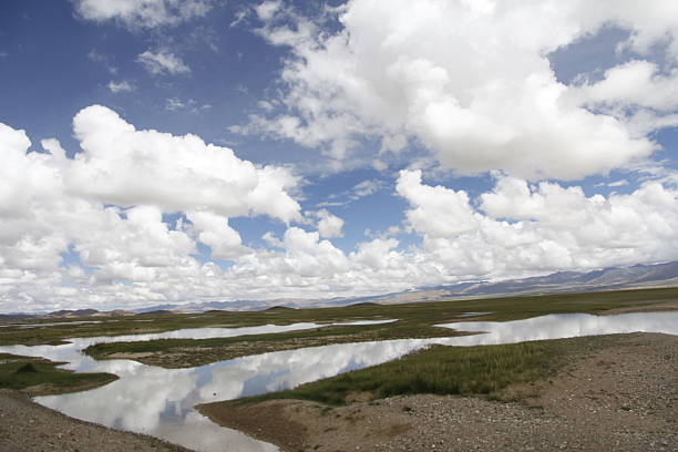 A picturesque scene of a wetland under a sky filled with clouds, showcasing the natural beauty of the landscape.