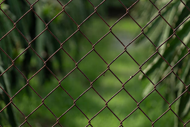 A close-up view of a metal wire fence shows thin intersecting wires forming a diamond pattern. The softly blurred background of natural colors creates contrast between the sharp foreground lines and the gentle outdoor scenery. The scene conveys enclosure, structure, and subtle environmental context.