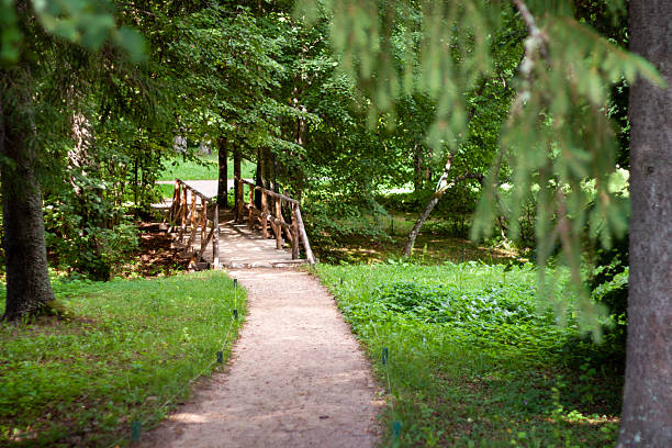 A serene park path surrounded by lush greenery and trees.