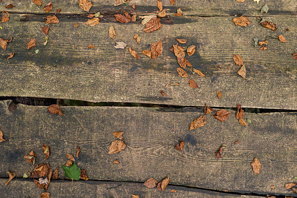 Wooden footbridge near Dorking Surrey England