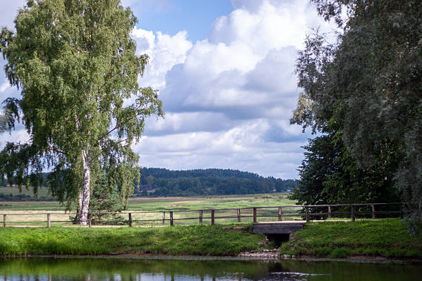 A serene rural scene featuring a small wooden bridge over water and lush green fields extending into the distance, flanked by tall leafy trees.